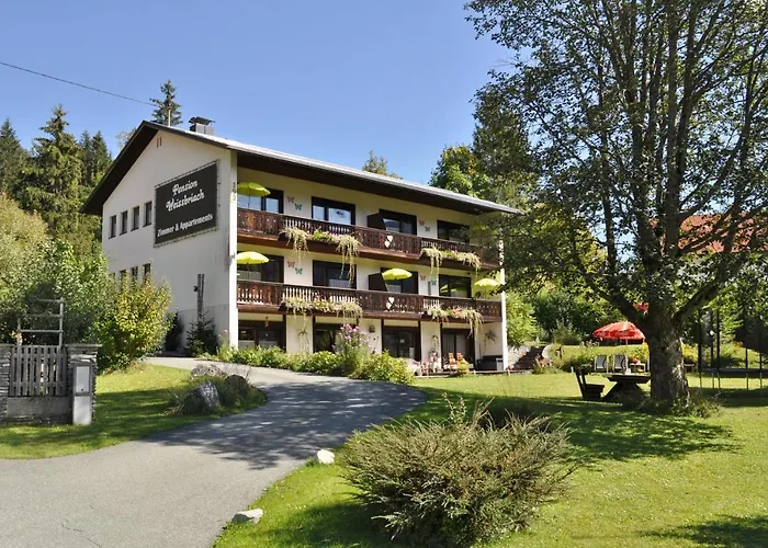 Pension & Apartments Weissbriach